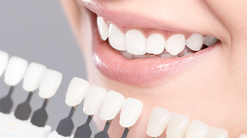 初回体験コース